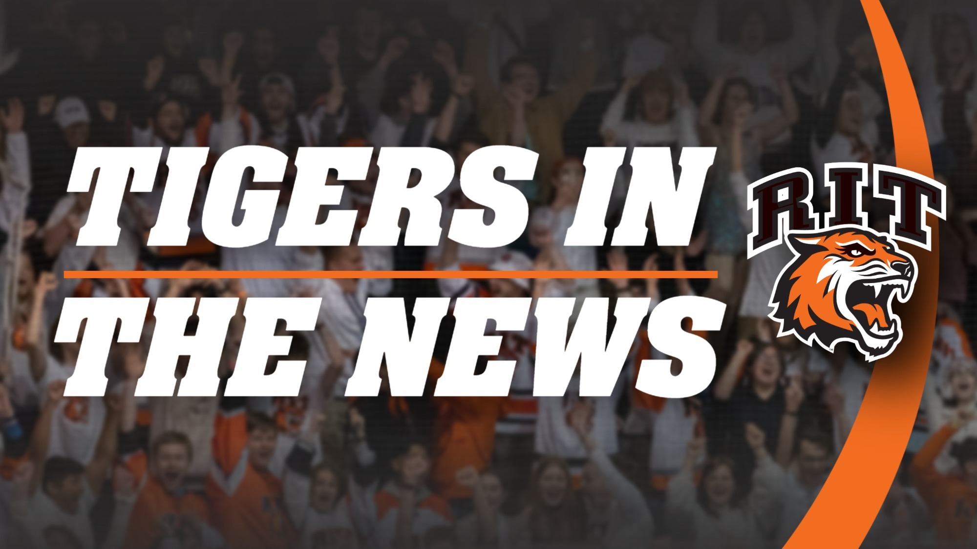 Tigers In The News graphic