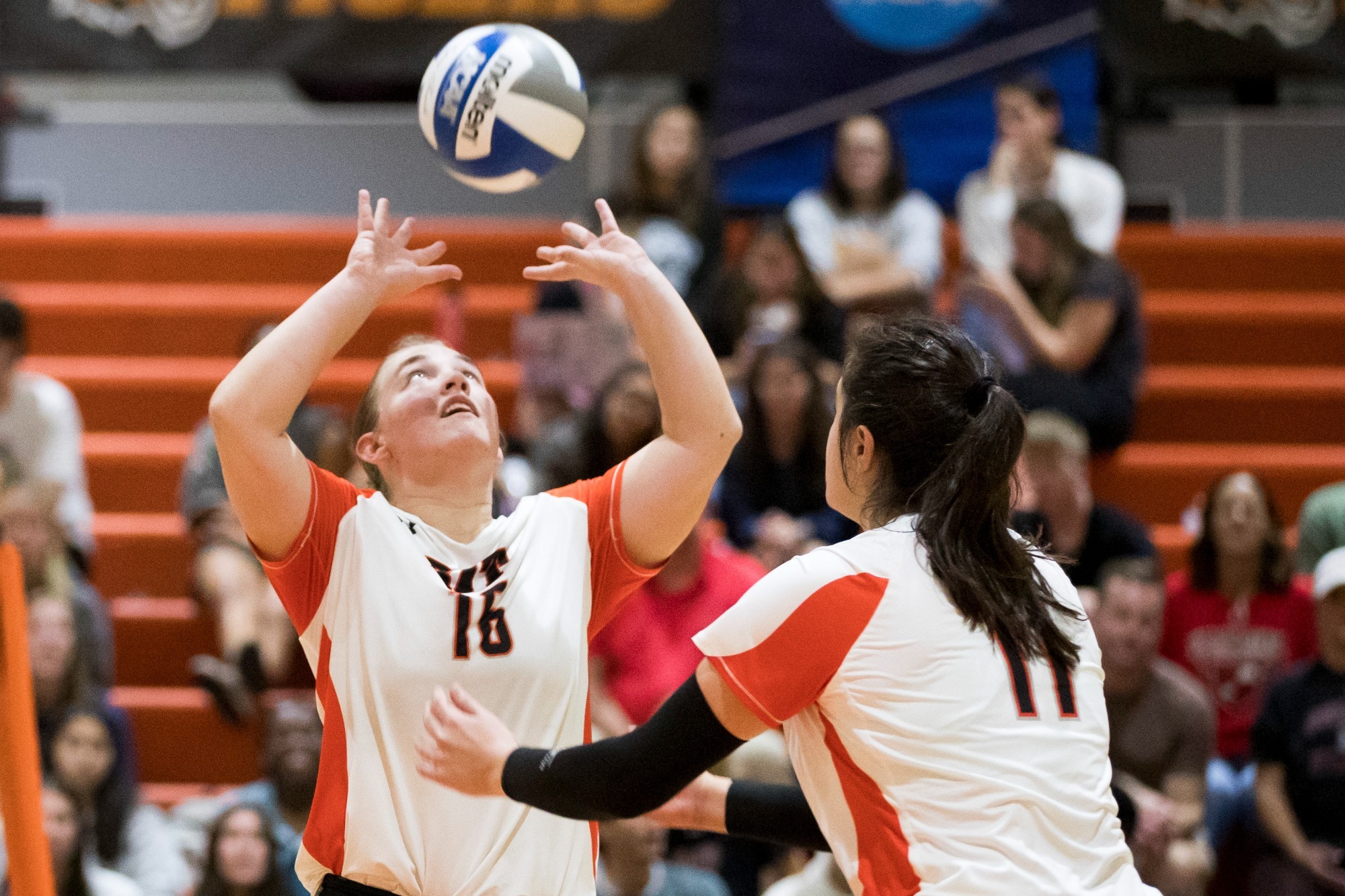 a women's volleyball player setting a ball to her teammate