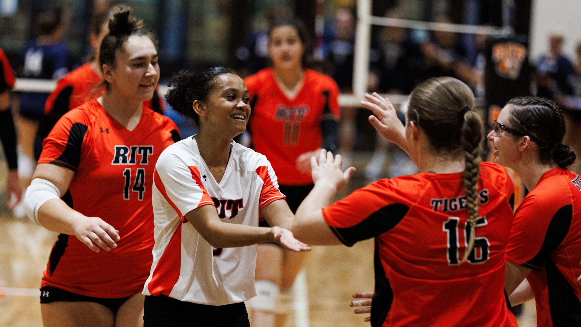 women's volleyball players congratulating a teammate on the sidelines