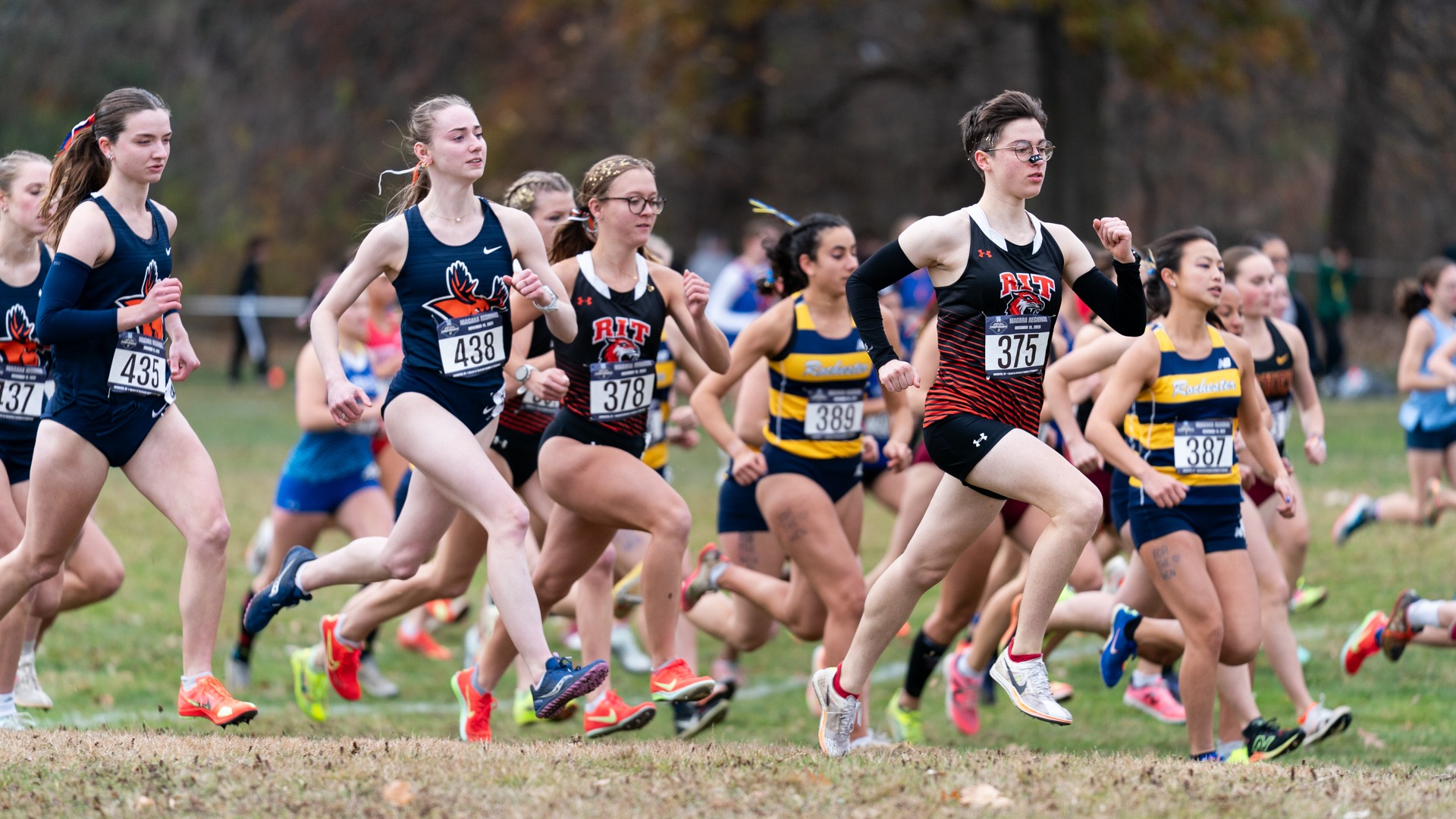 RIT hosted the NCAA DIII Cross Country Niagara Regional Championships at Genesee Valley Park, in Rochester New York on Saturday, November 15, 2025. (Colin Norland/RIT Sports Network).