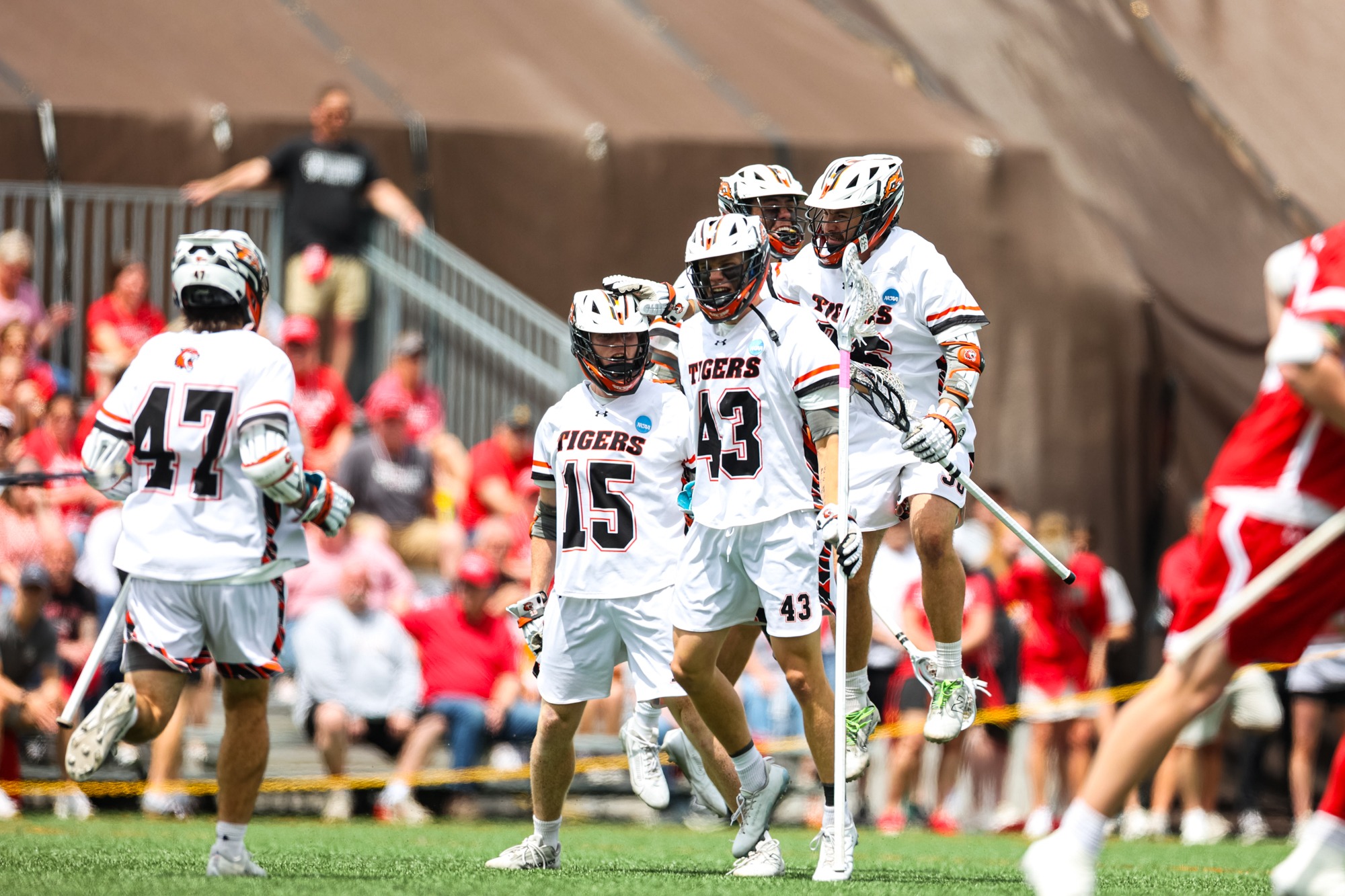a group of men's lacrosse players celebrating a goal