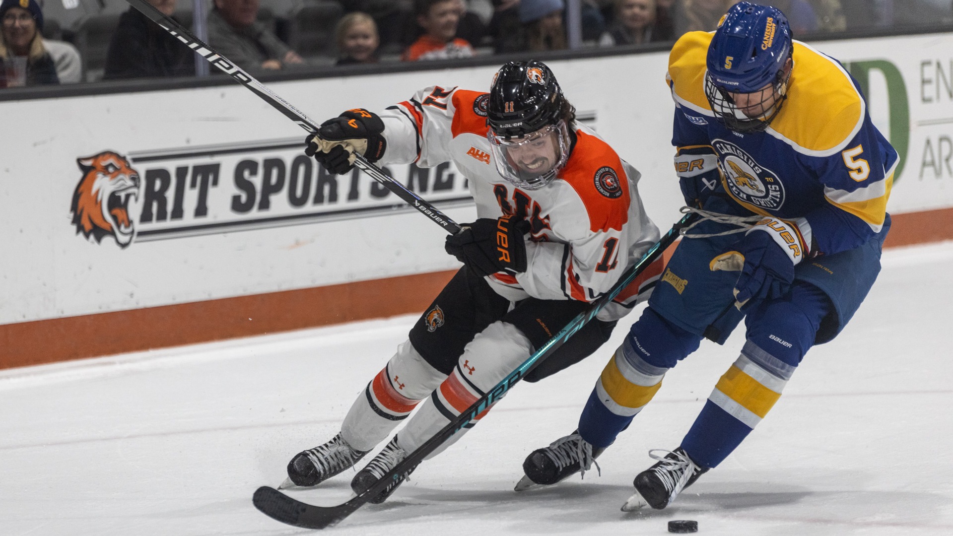 two men's hockey players battling for a puck
