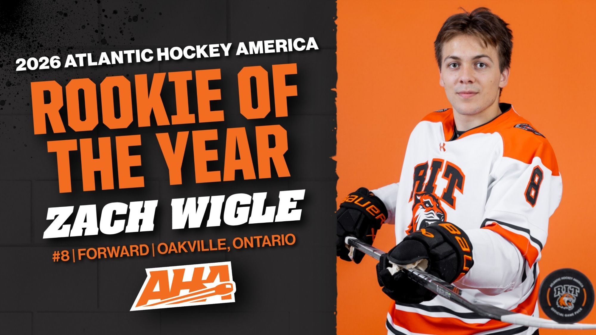 a zach wigle rookie of the year graphic