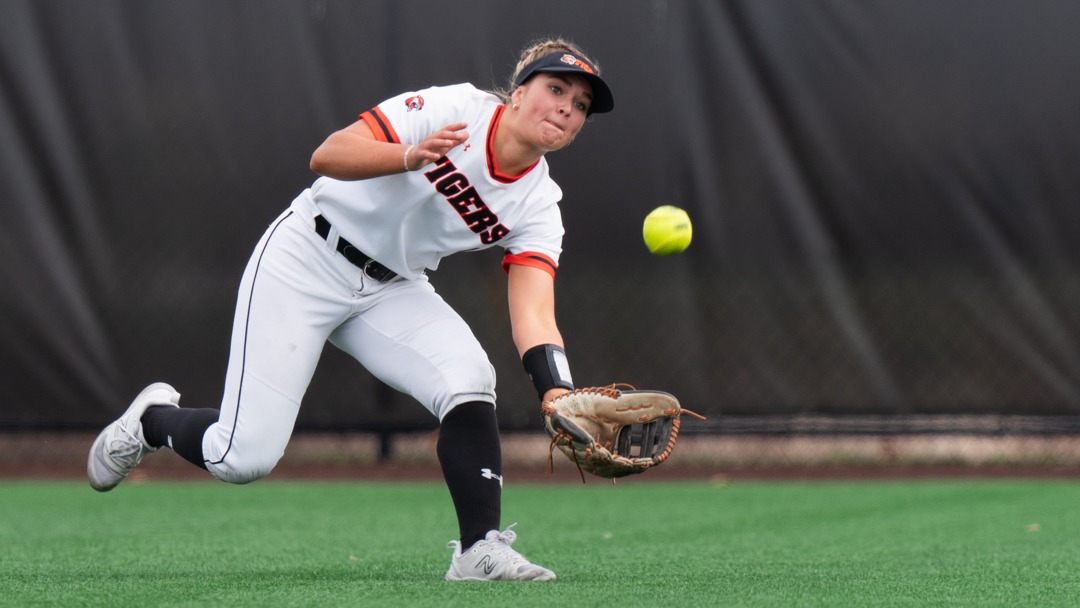 an outfielder diving for a fly ball