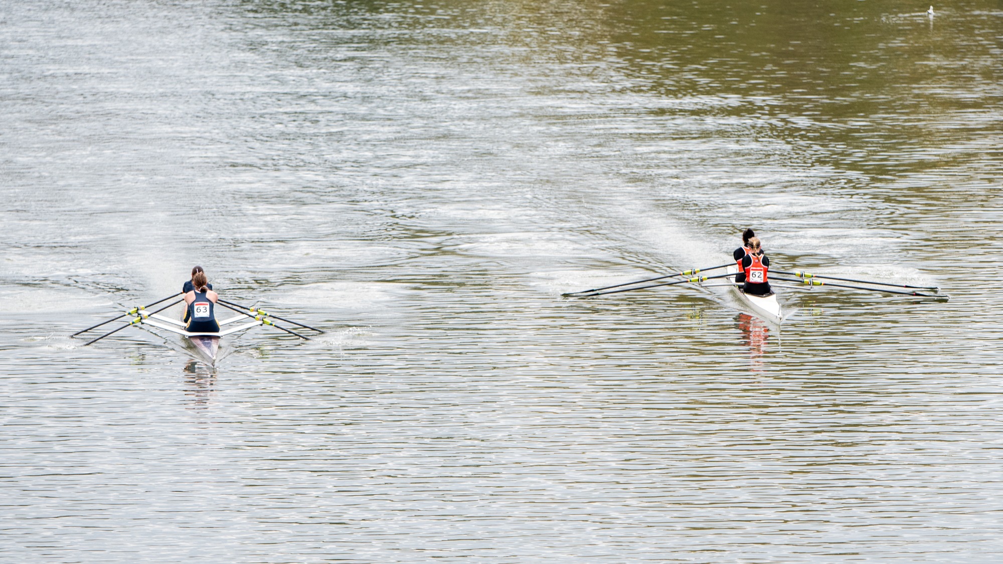 RIT Men’s and Women’s Rowing participated in the Head of the Genesee  on Saturday, Oct. 11, 2025, at Genesee Valley Park. (Elizabeth Robertson/RIT Athletics) 