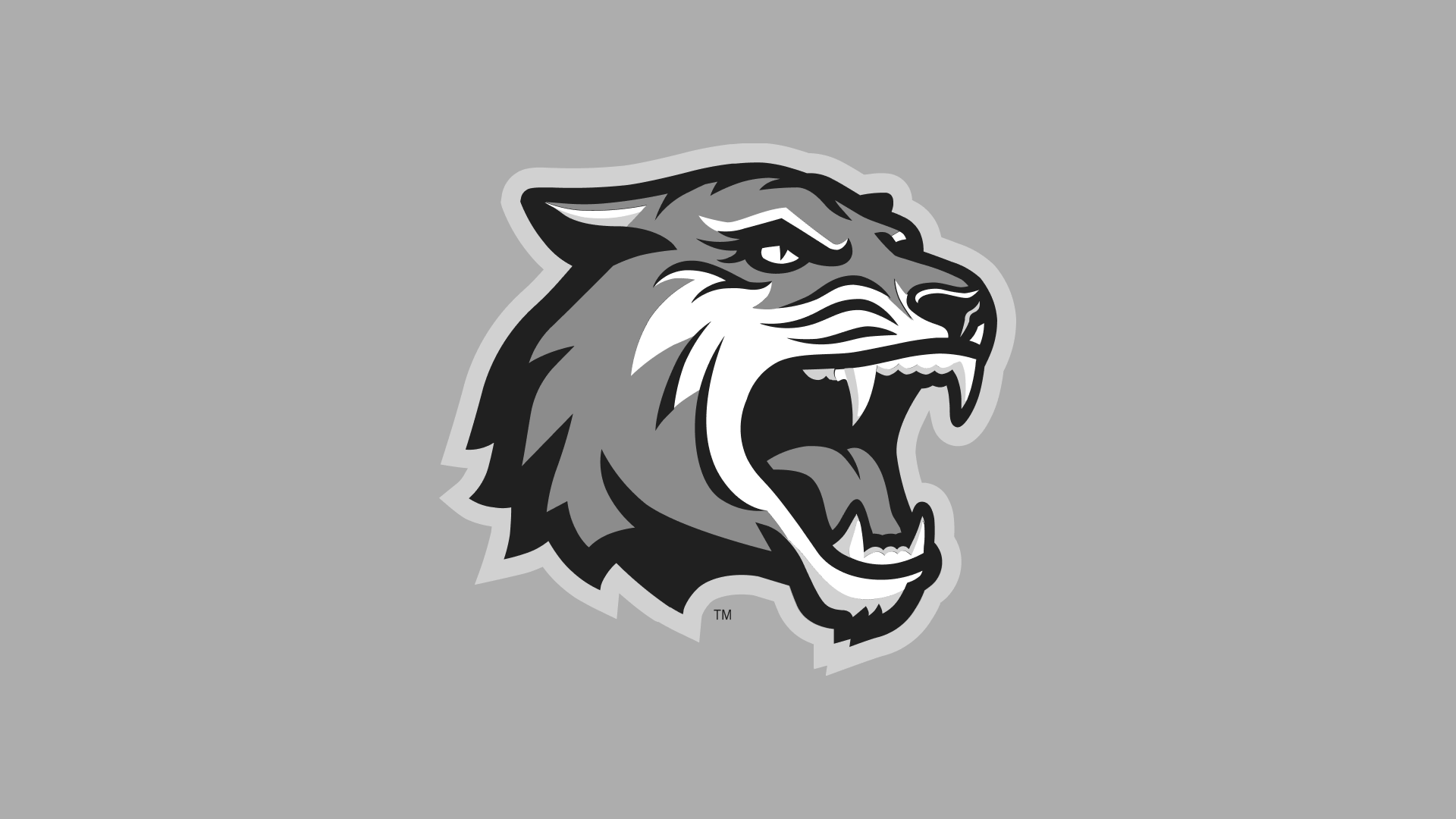 Frozen Four Rochester Institute of Technology Athletics