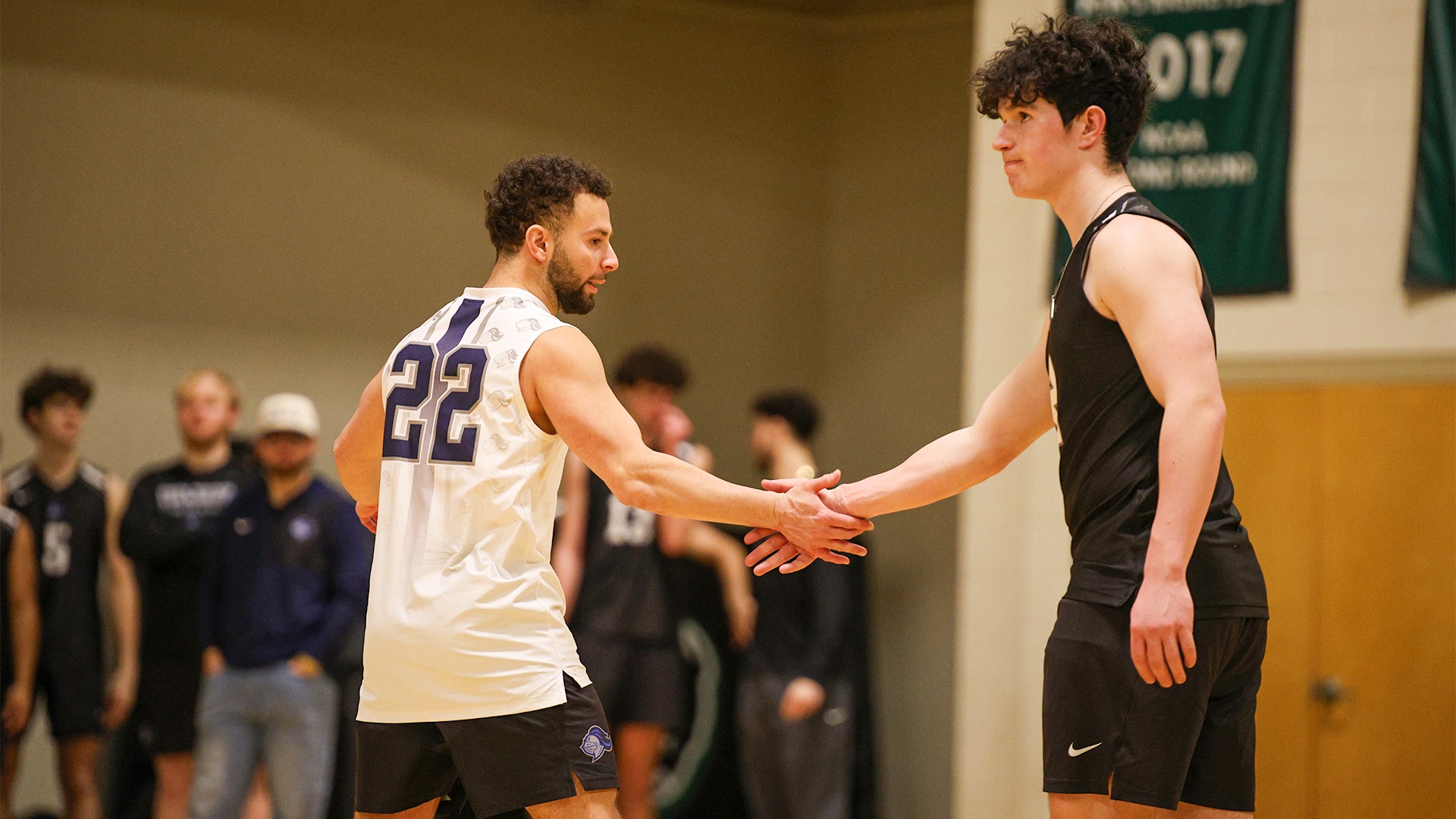 High Five Celectration