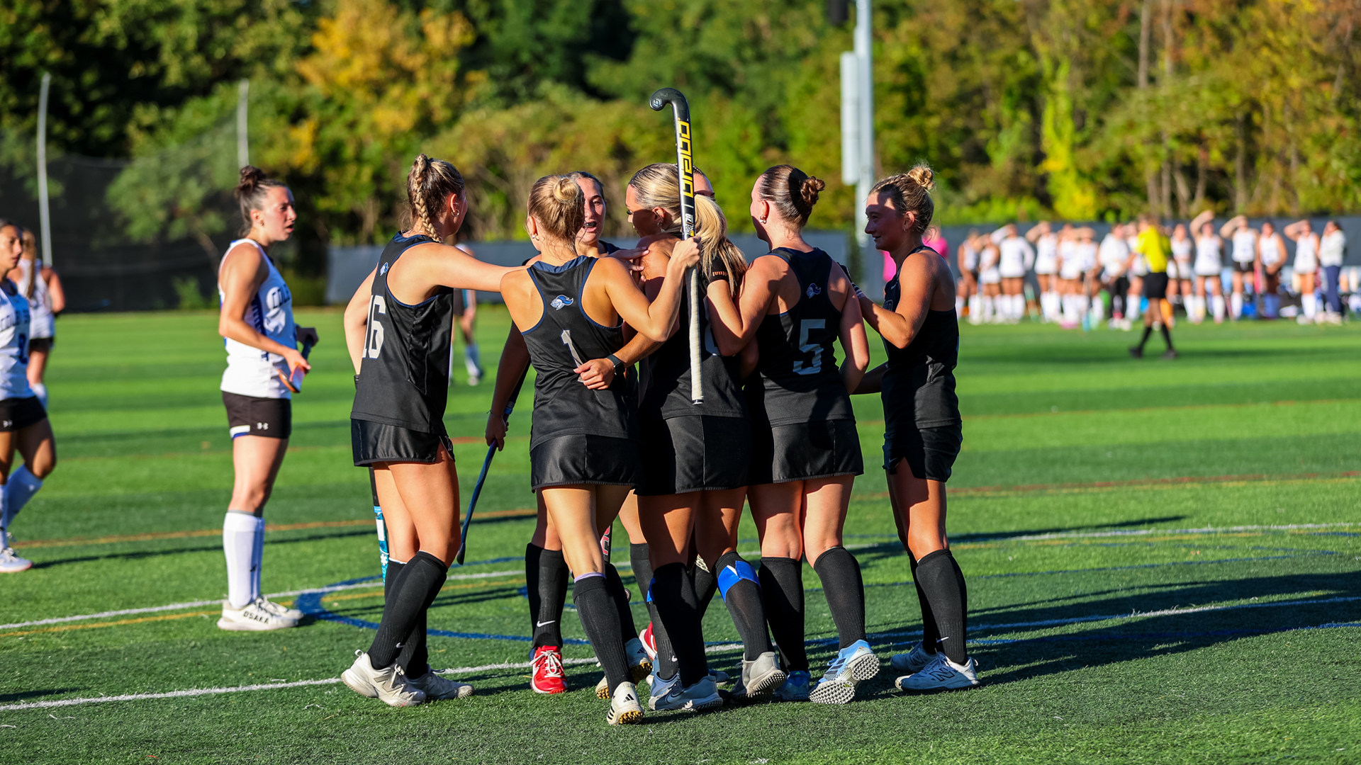 Team Goal Celebration 