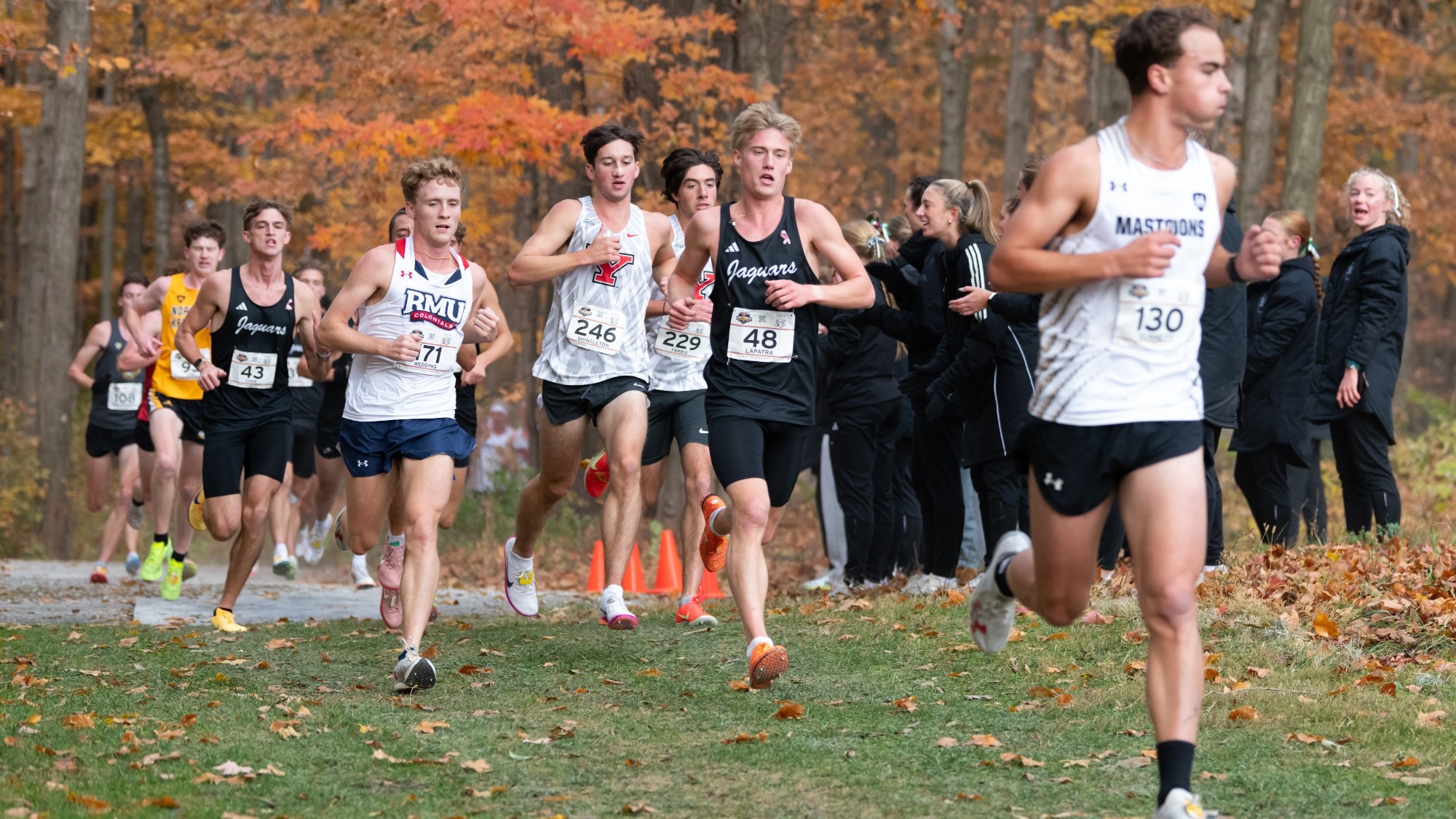 Horizon League XC Championship