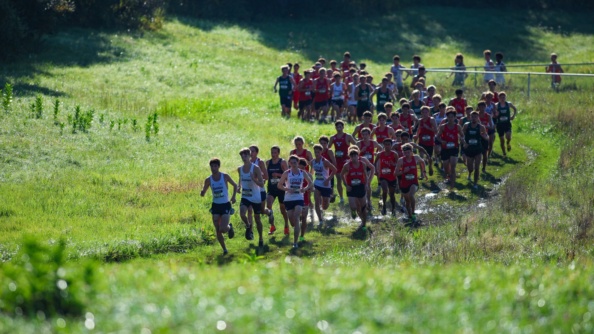 XC