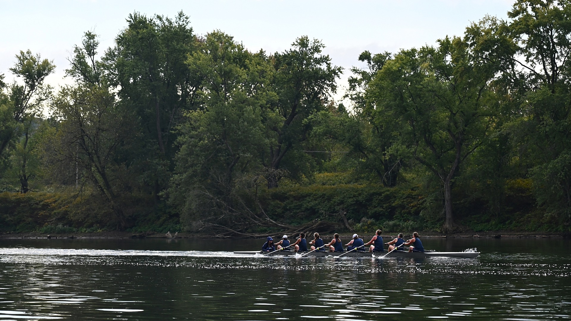 ROW