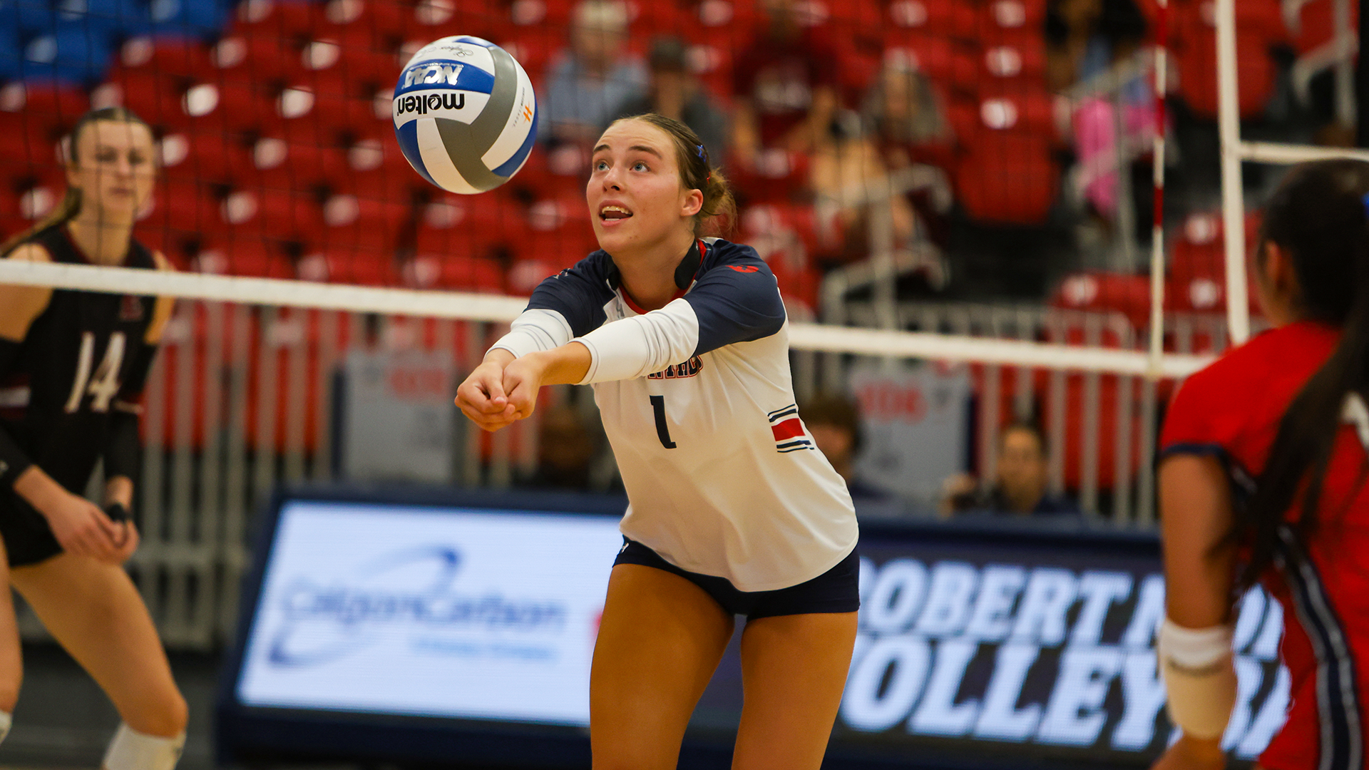 volleyball