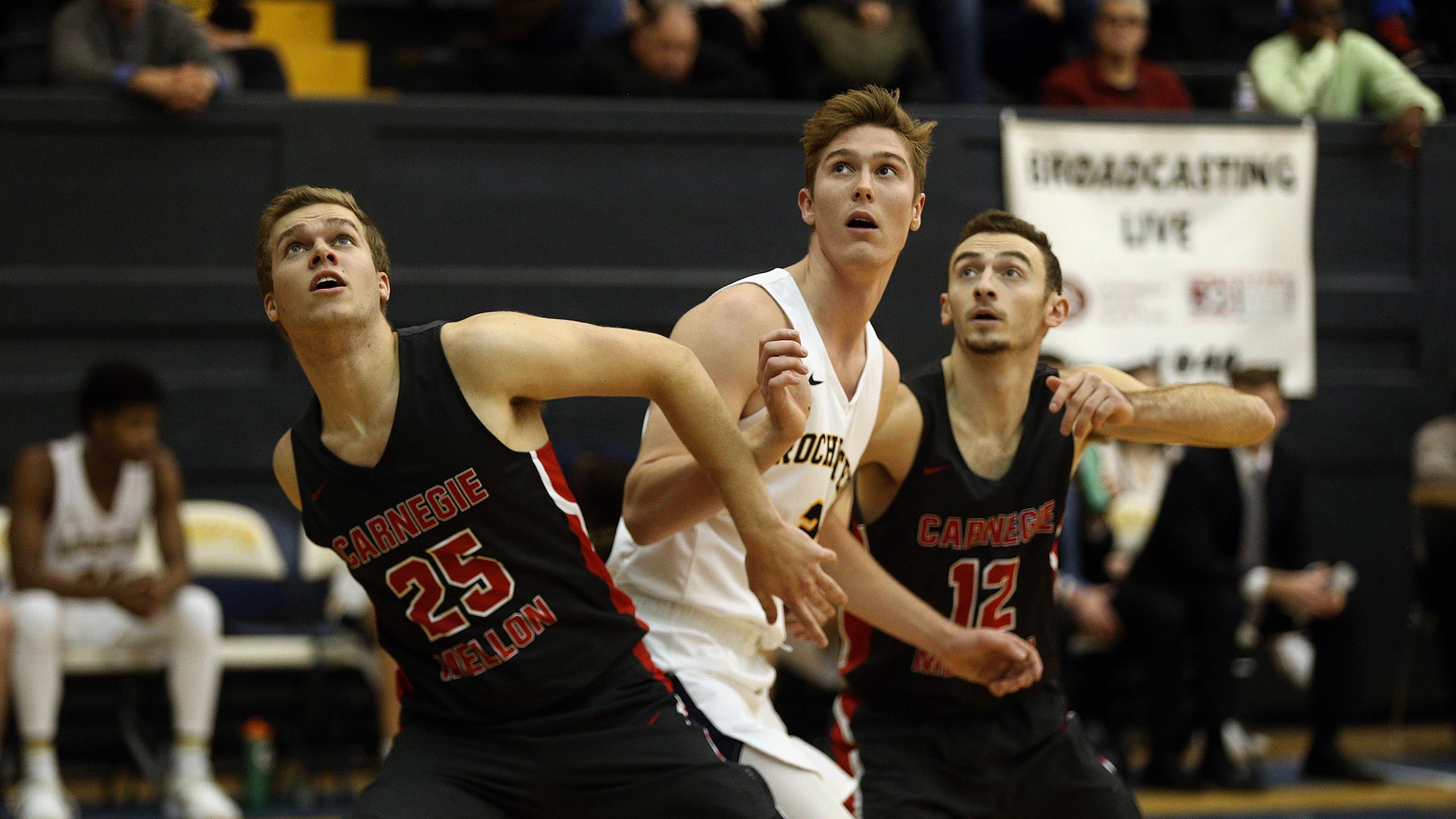 Tucker Knox Men's Basketball University of Rochester Athletics
