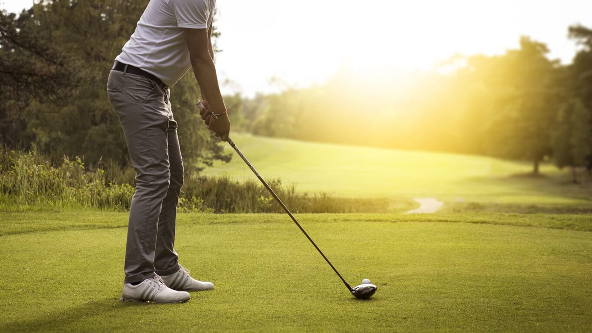 Golf Stock