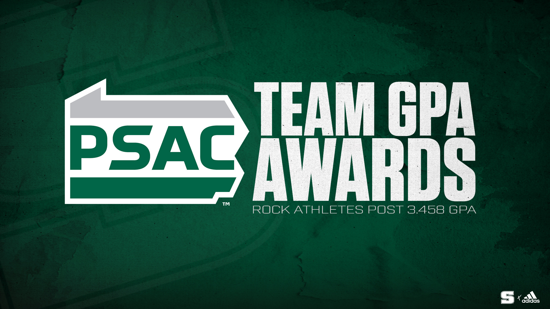 "Best in the Nation" highlights 13 CSC awards for SRU Athletic Comm