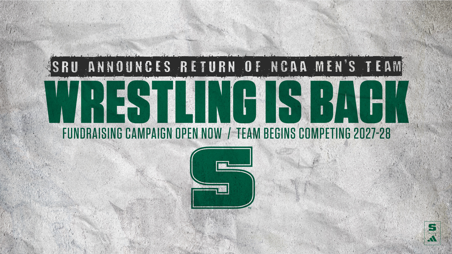Wrestling is Back Graphic