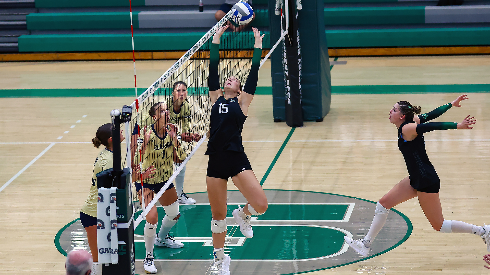 Emily Loeffler vs. Clarion