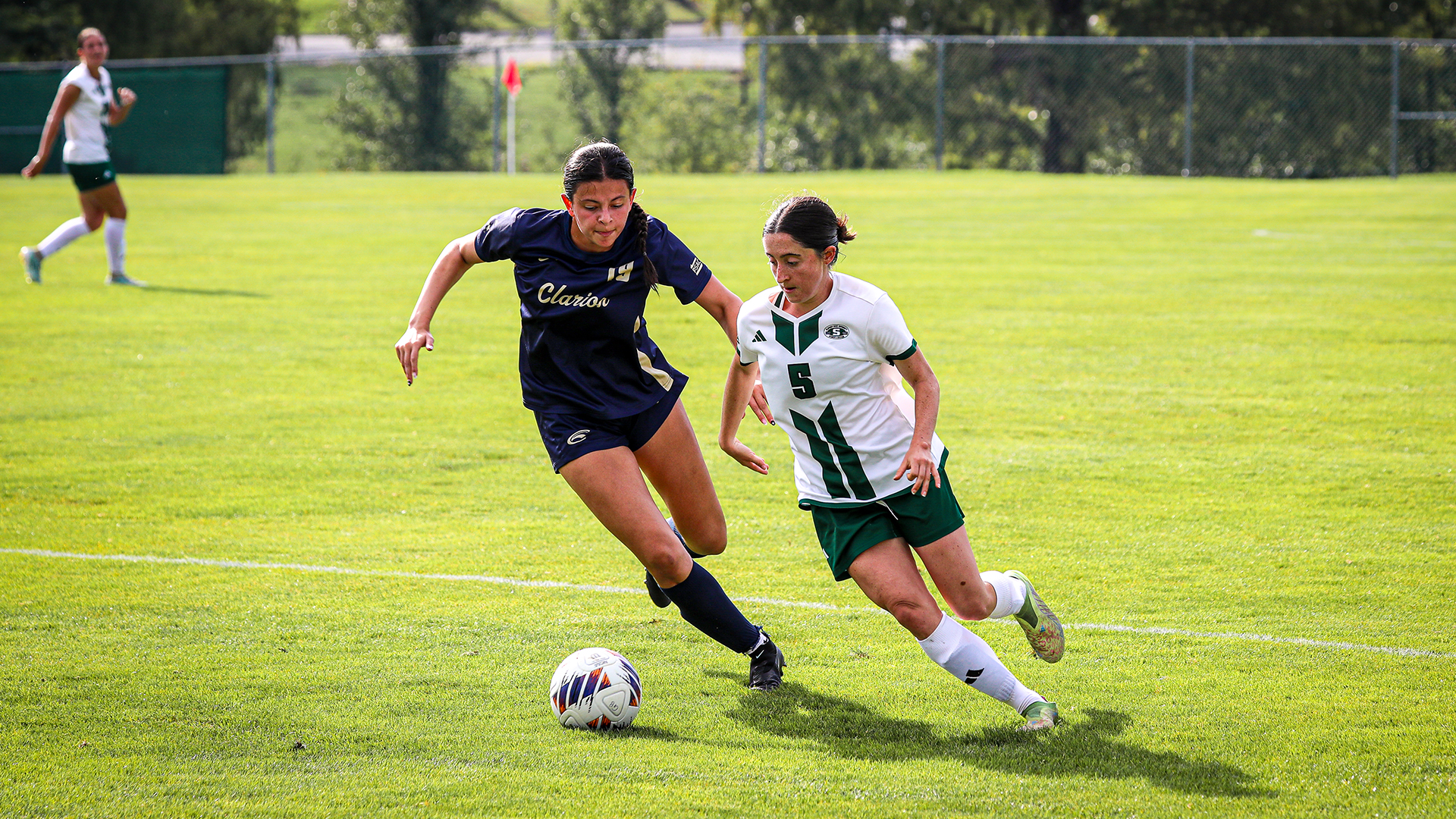 Chloe Flynn vs. Clarion