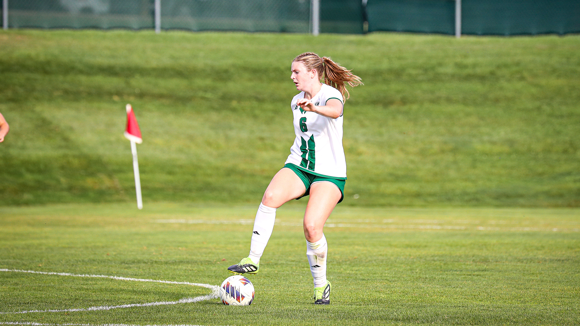 Kailyn Schulte vs. Clarion
