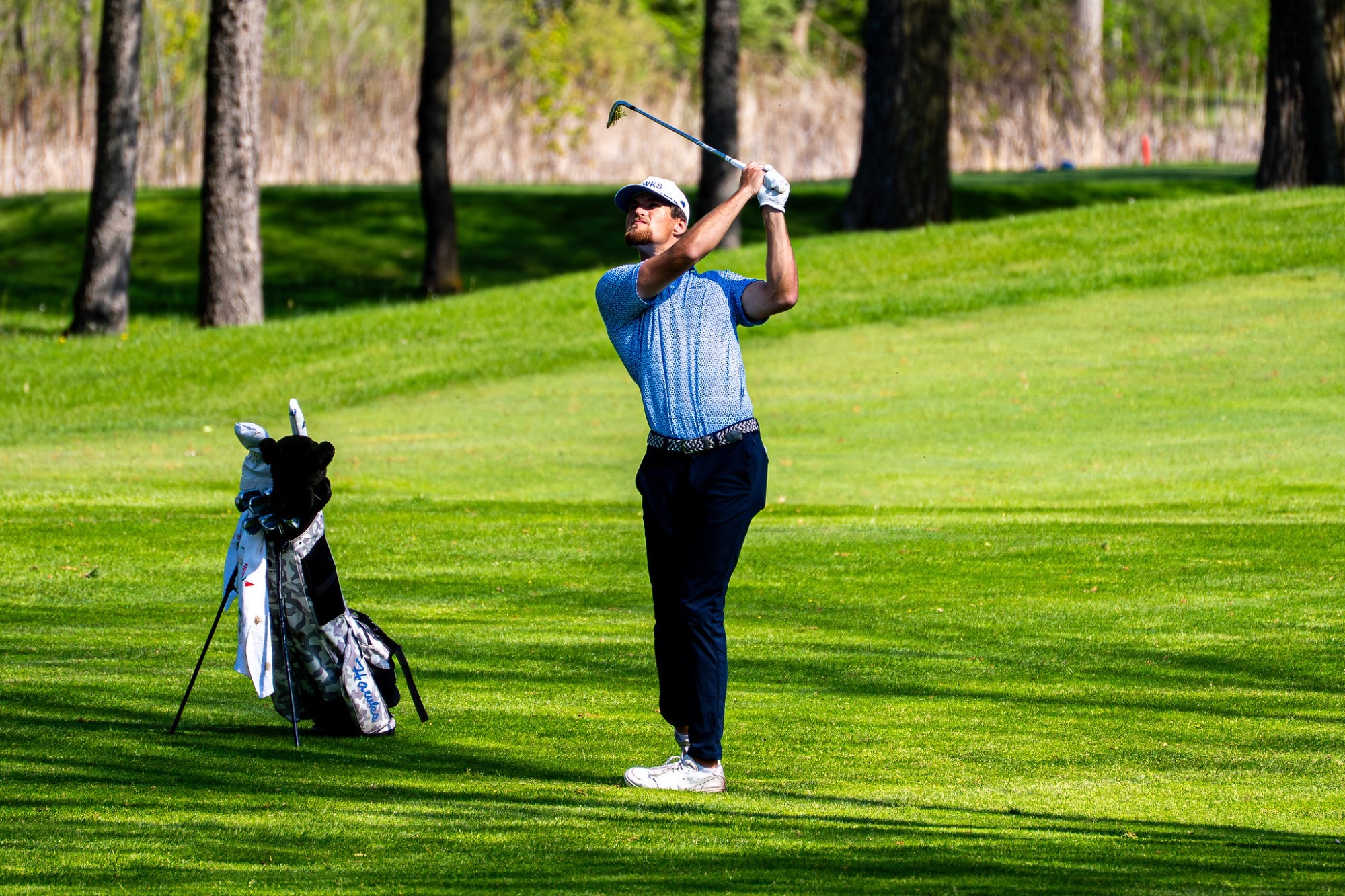 Kingston  Solomon drive