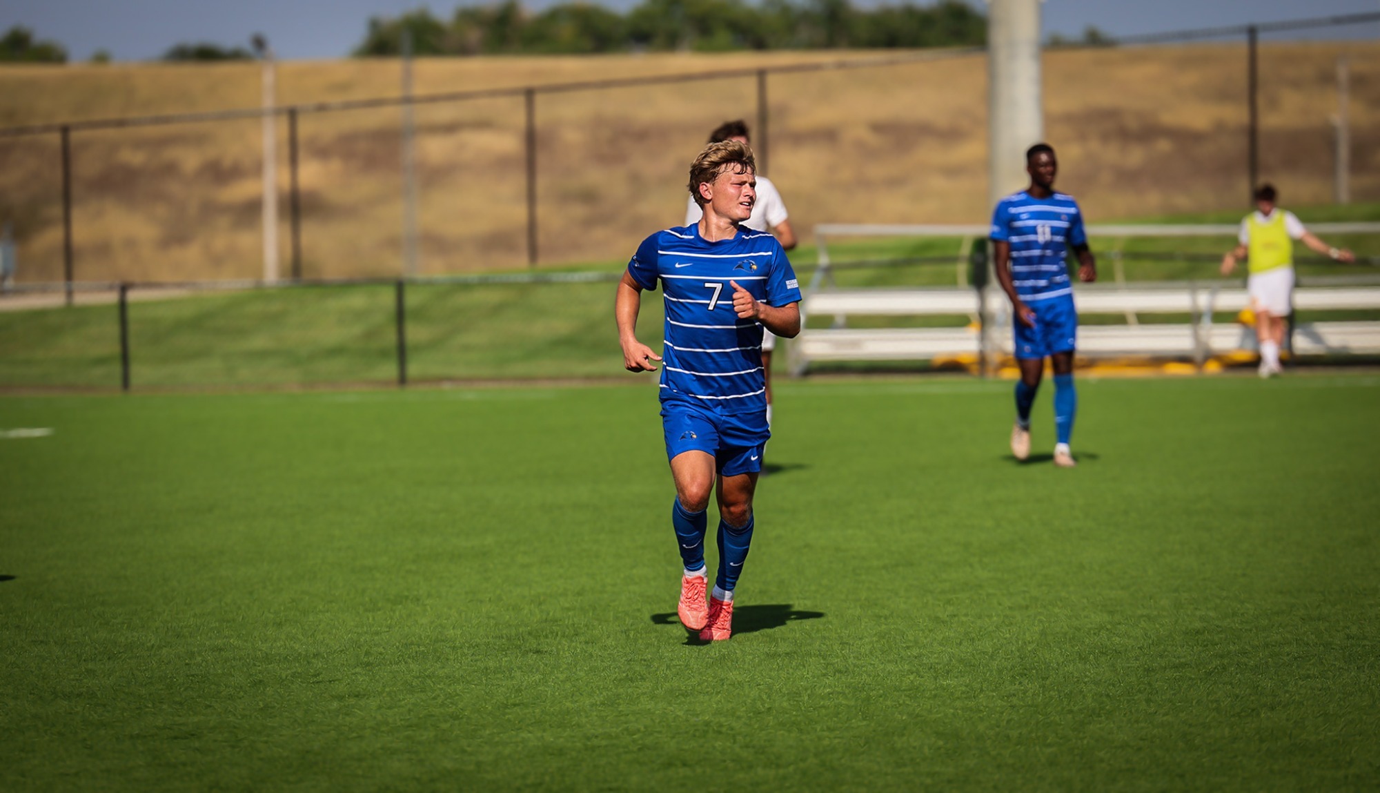 Sam McIntosh Action