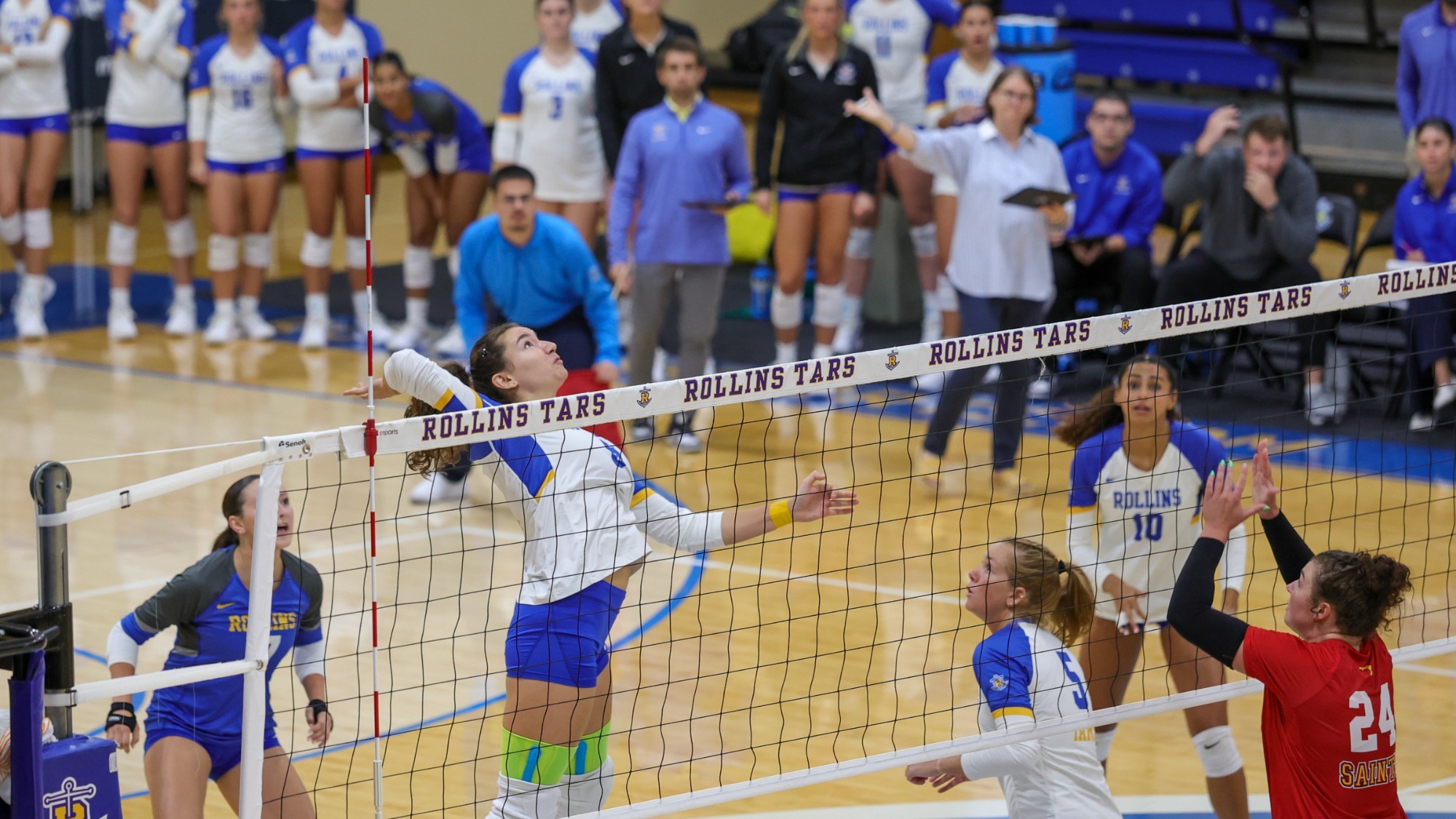 Sep 24, 2025; Winter Park, FL, USA; Rollins Volleyball during a match against Flagler at the Alfond Sports Complex. Mandatory Credit: Mike Watters-Rollins College Sports