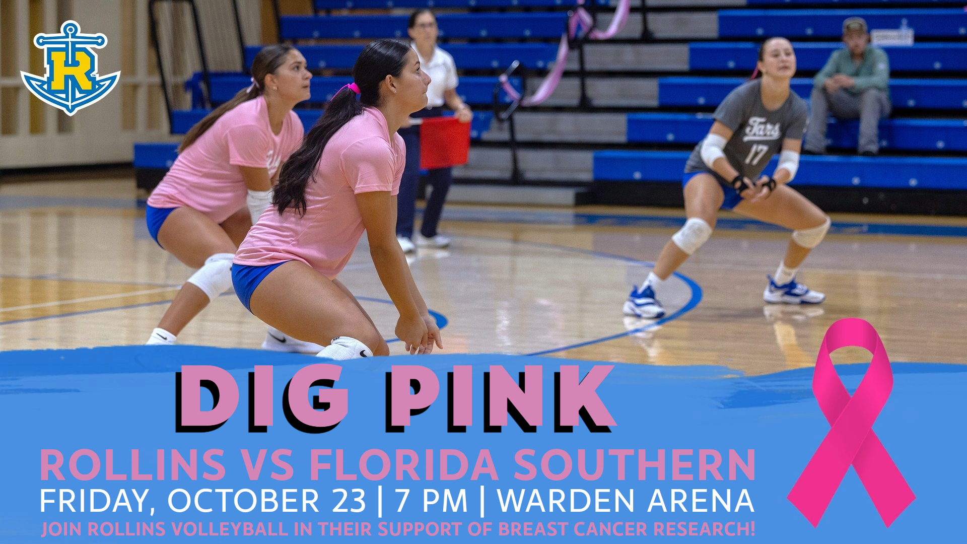 Dig Pink 2026