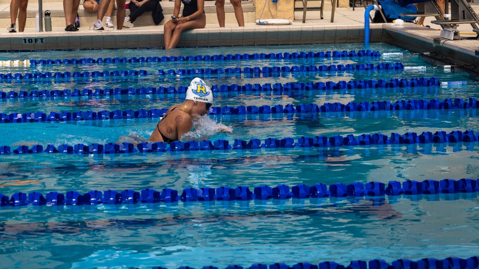 Tegler breaststroke