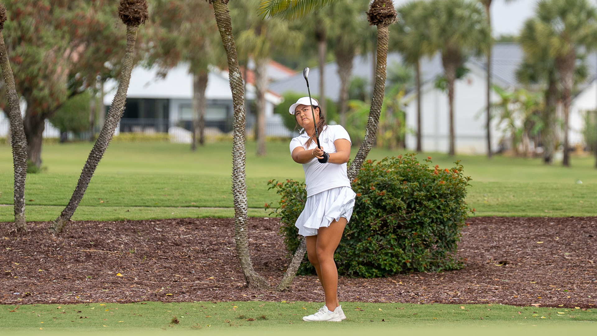 WGOLD Younyang Li iron shot