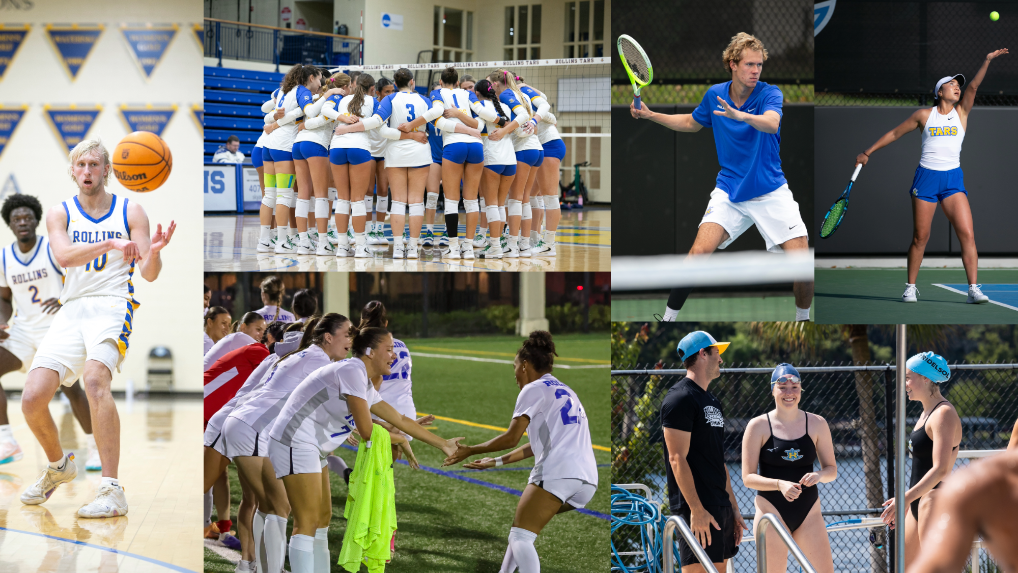 All Sports Camp Collage