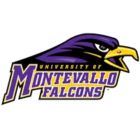 Opponent Logo