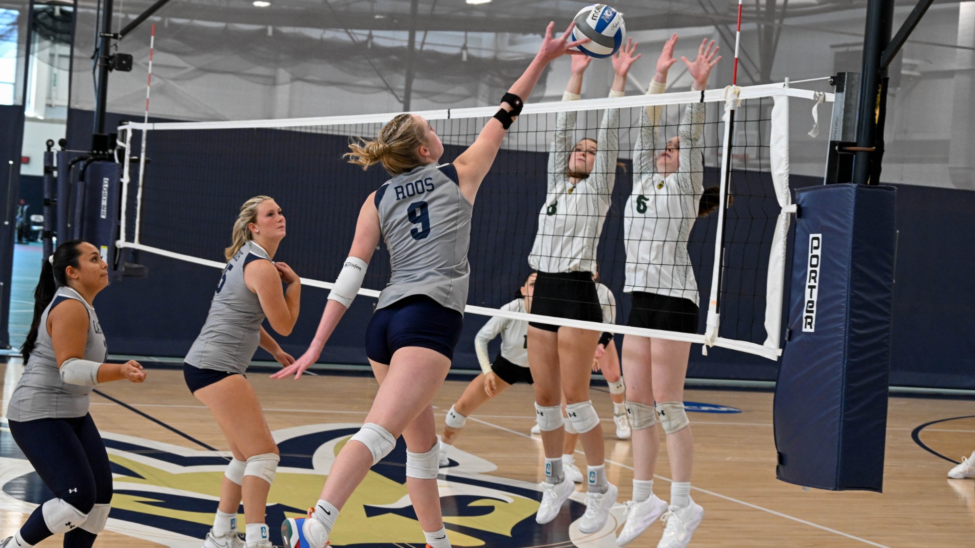 WVB Scrimmage vs. Clarkson