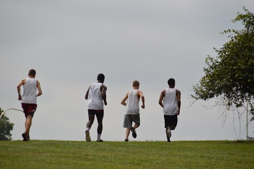 Men's Cross Country
