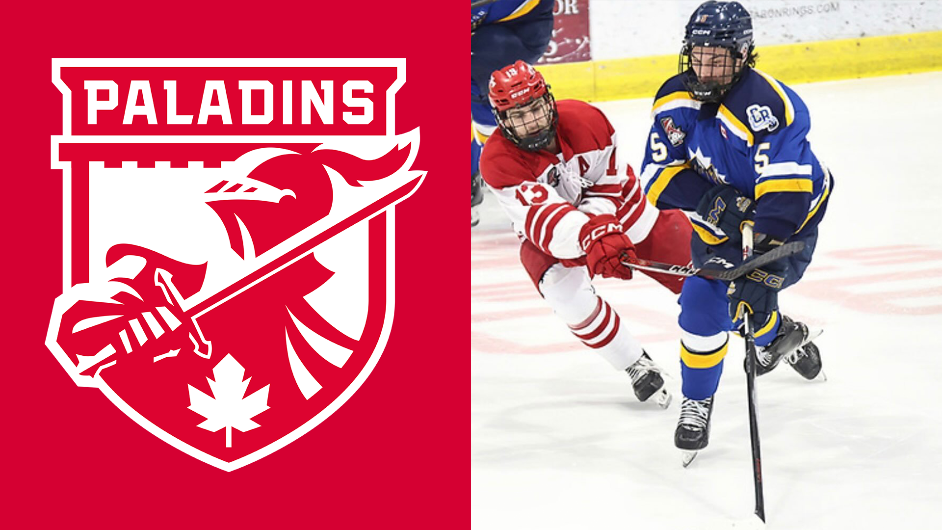 Pollock Recruit Article Photo