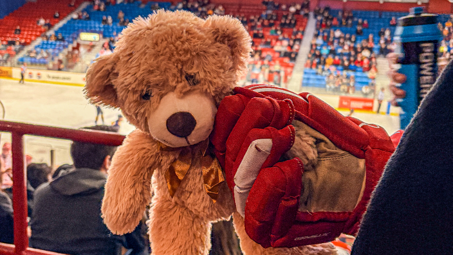2025 RPI Hockey Teddy Bear Toss