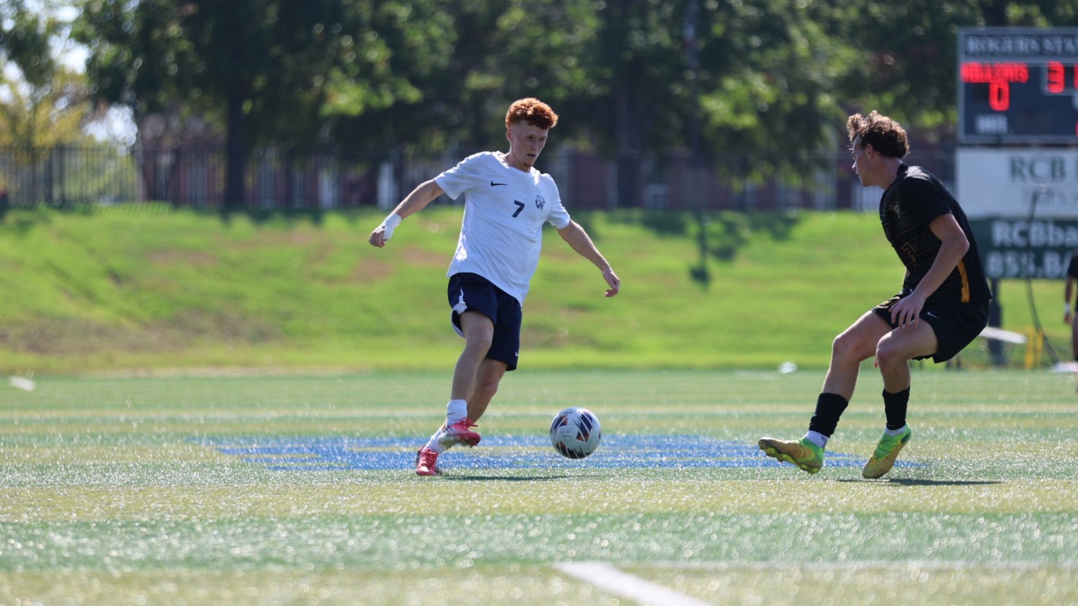 Louis Bassett 2026