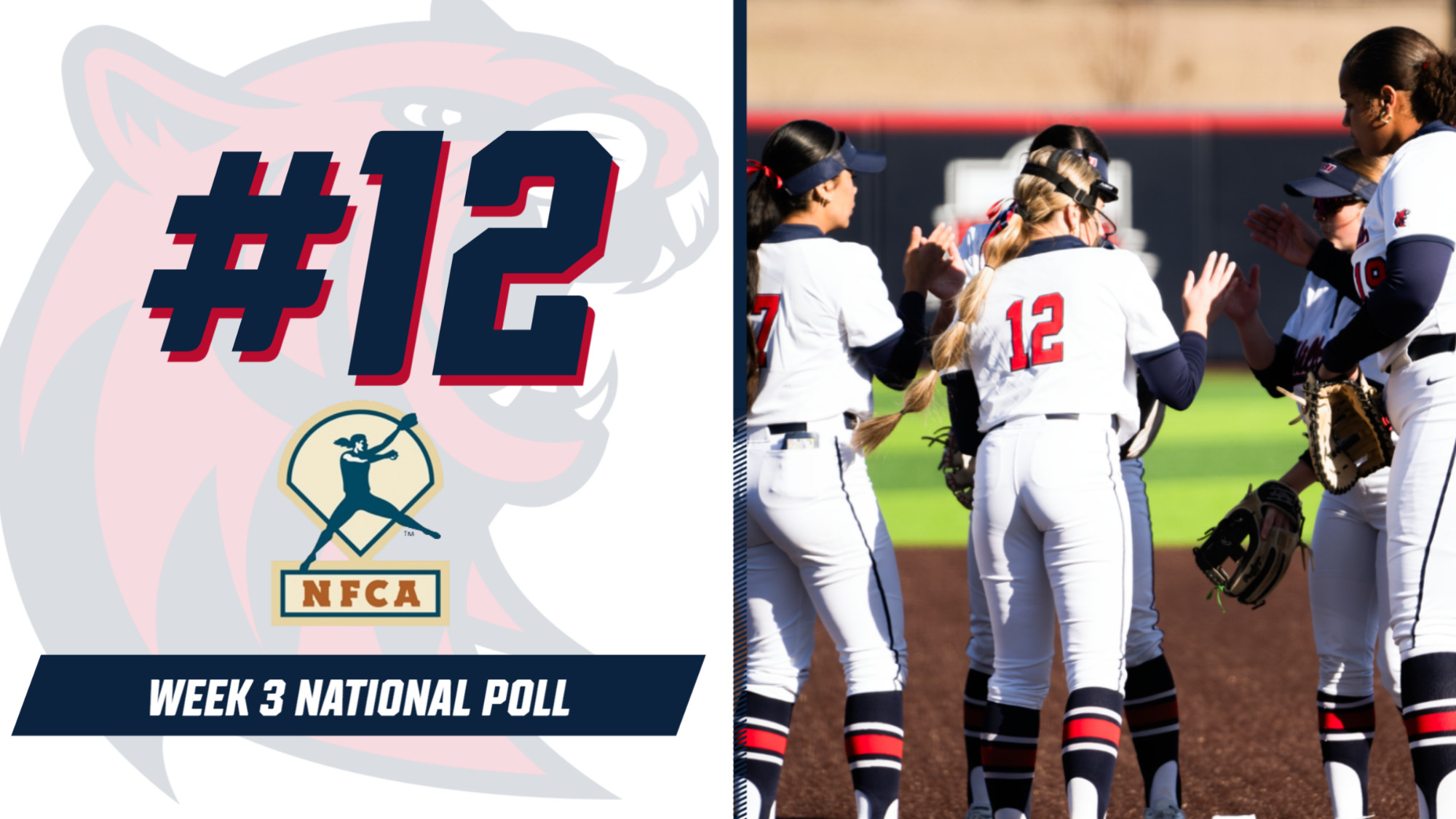 2026 NFCA Poll W3