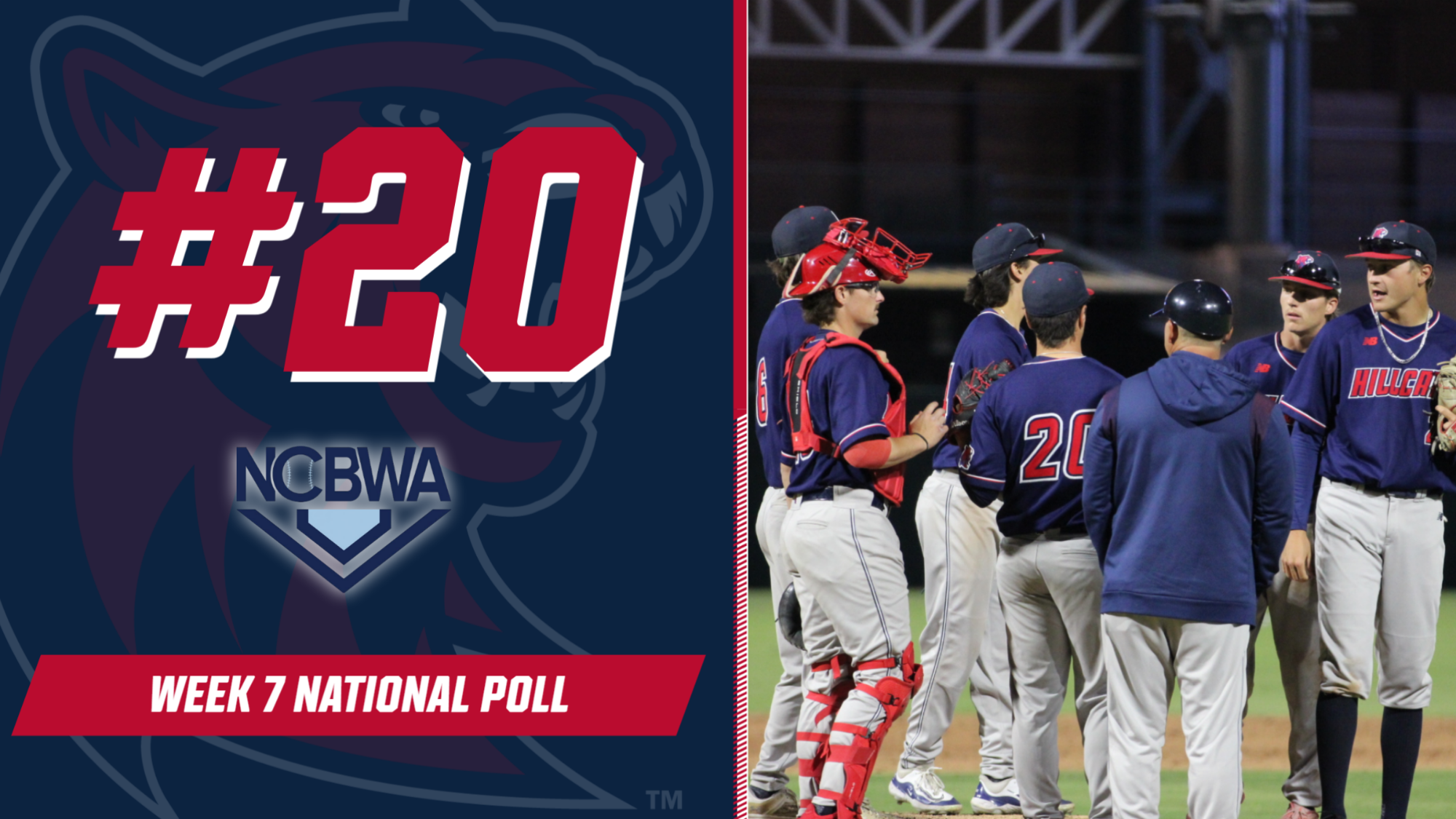 BSB NCBWA w7 Poll