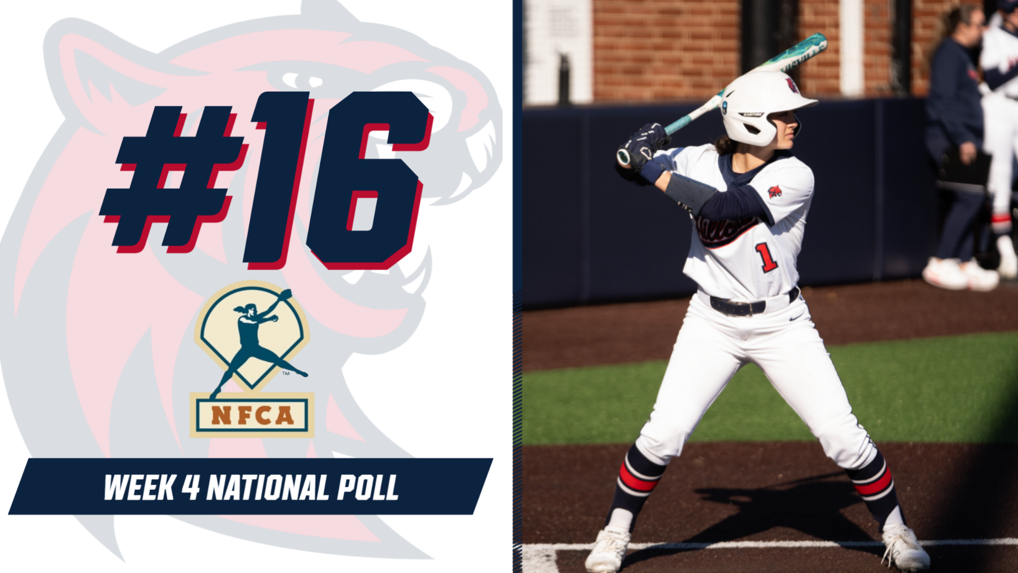 NFCA W4 Poll 