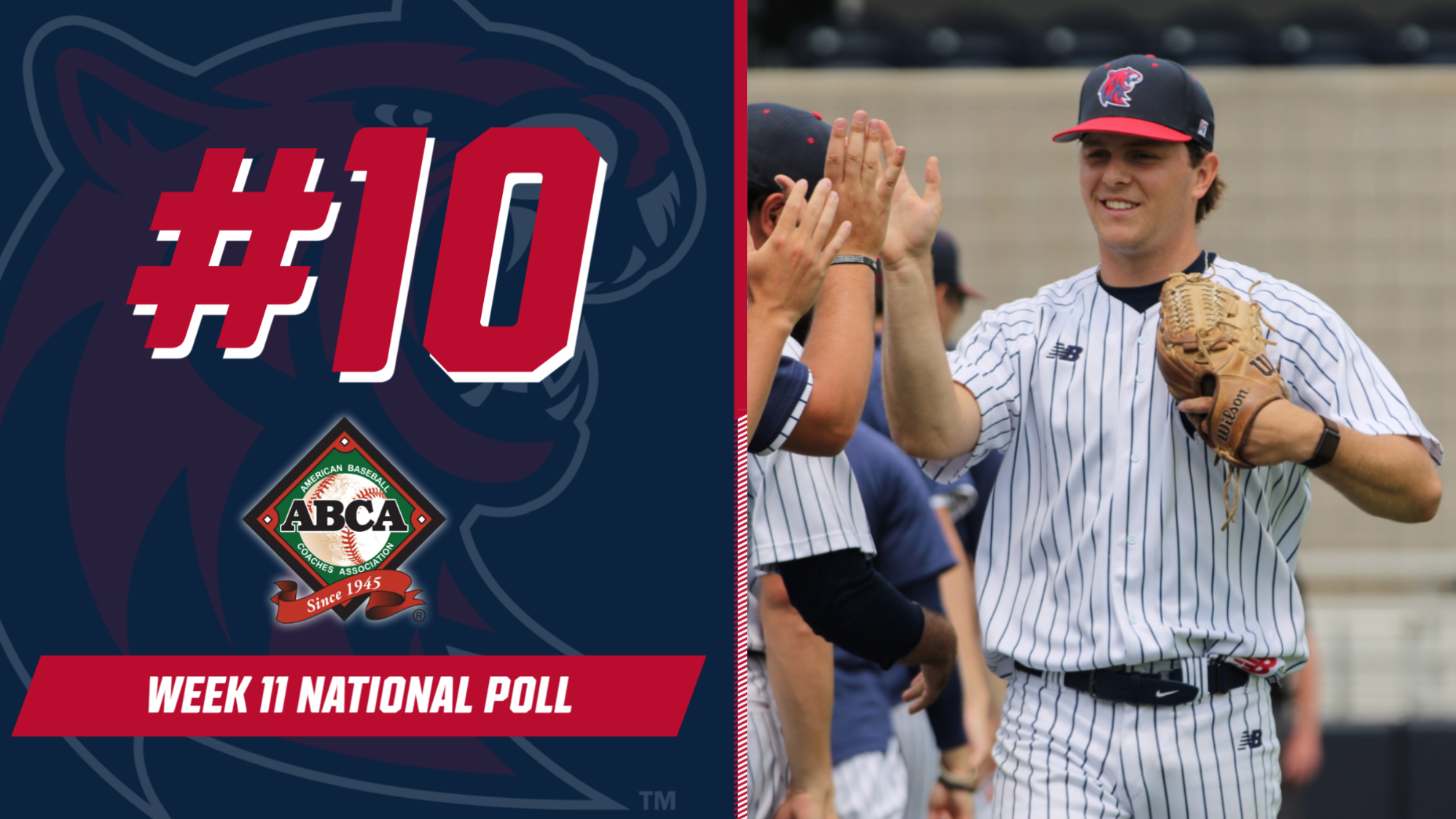 Week 11 ABCA Poll 2026
