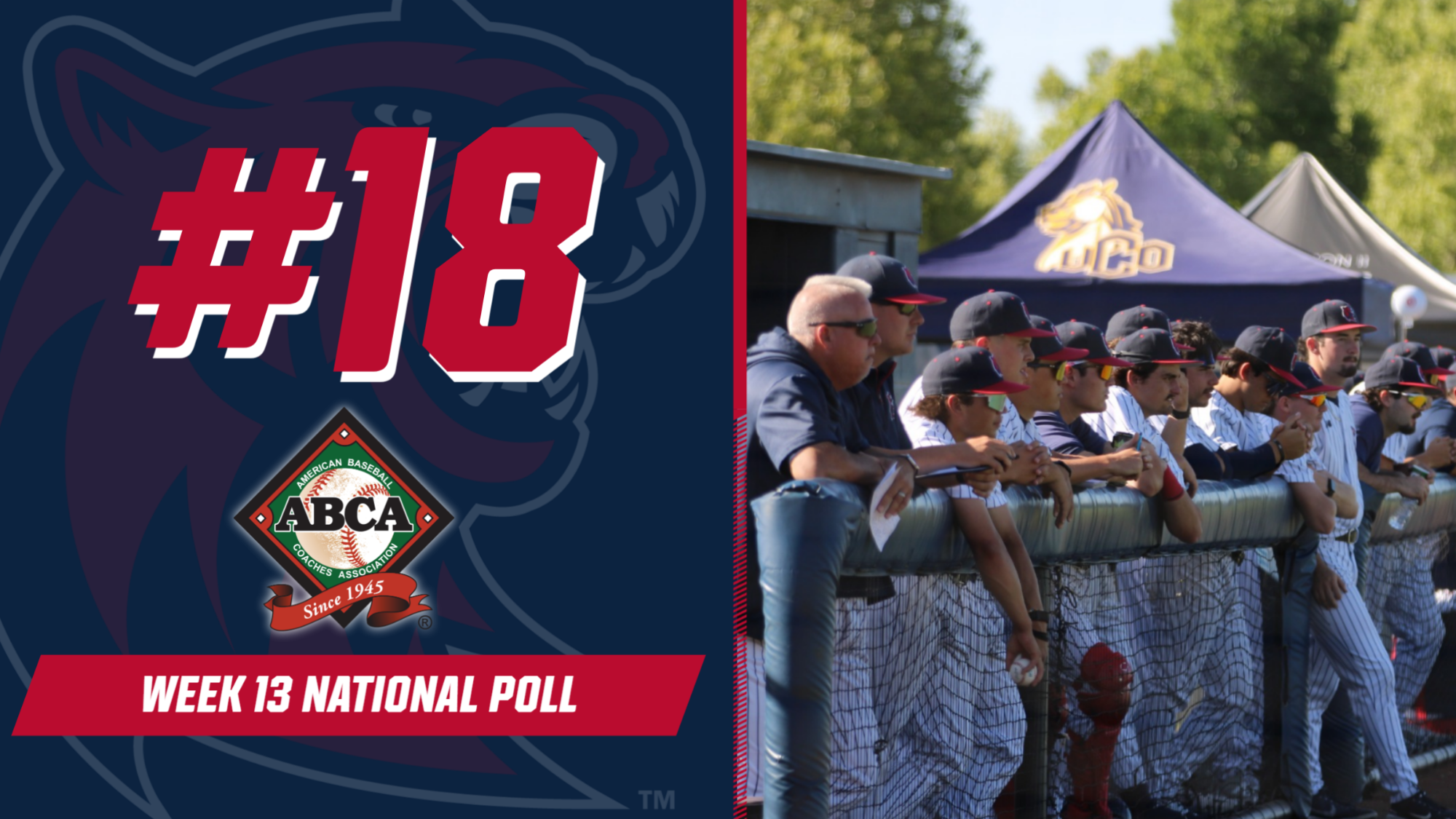 W13 ABCA Poll 2026