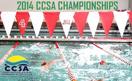 CCSA Preview