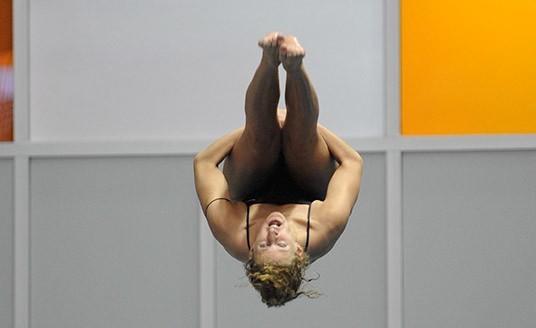 Hickling CCSA 14 1-meter