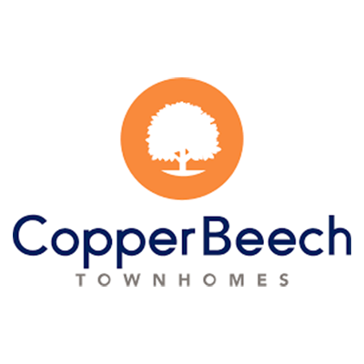 Copper Beech