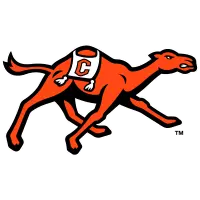 Opponent Logo
