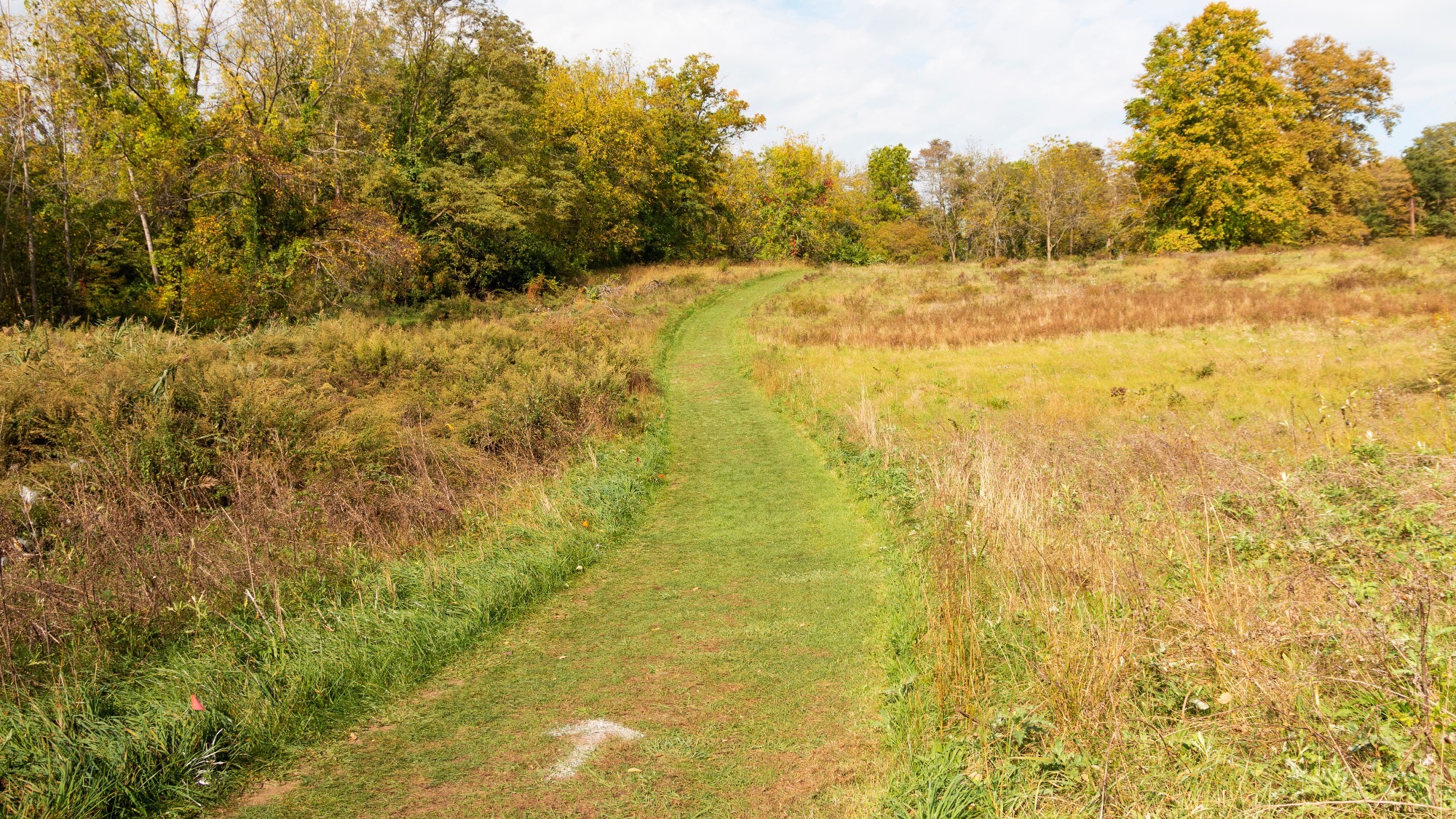 Generic Cross Country Trail