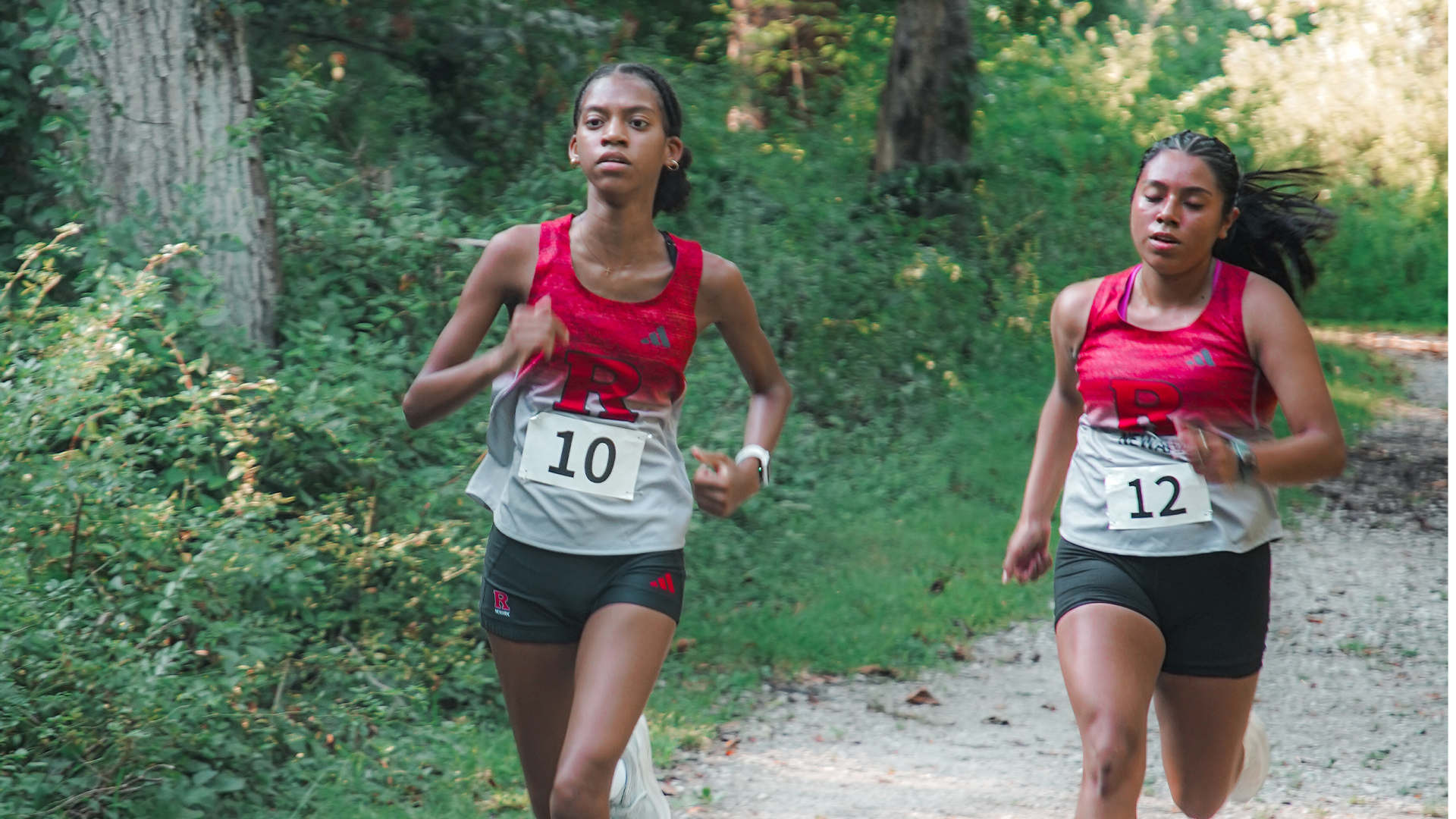 XC