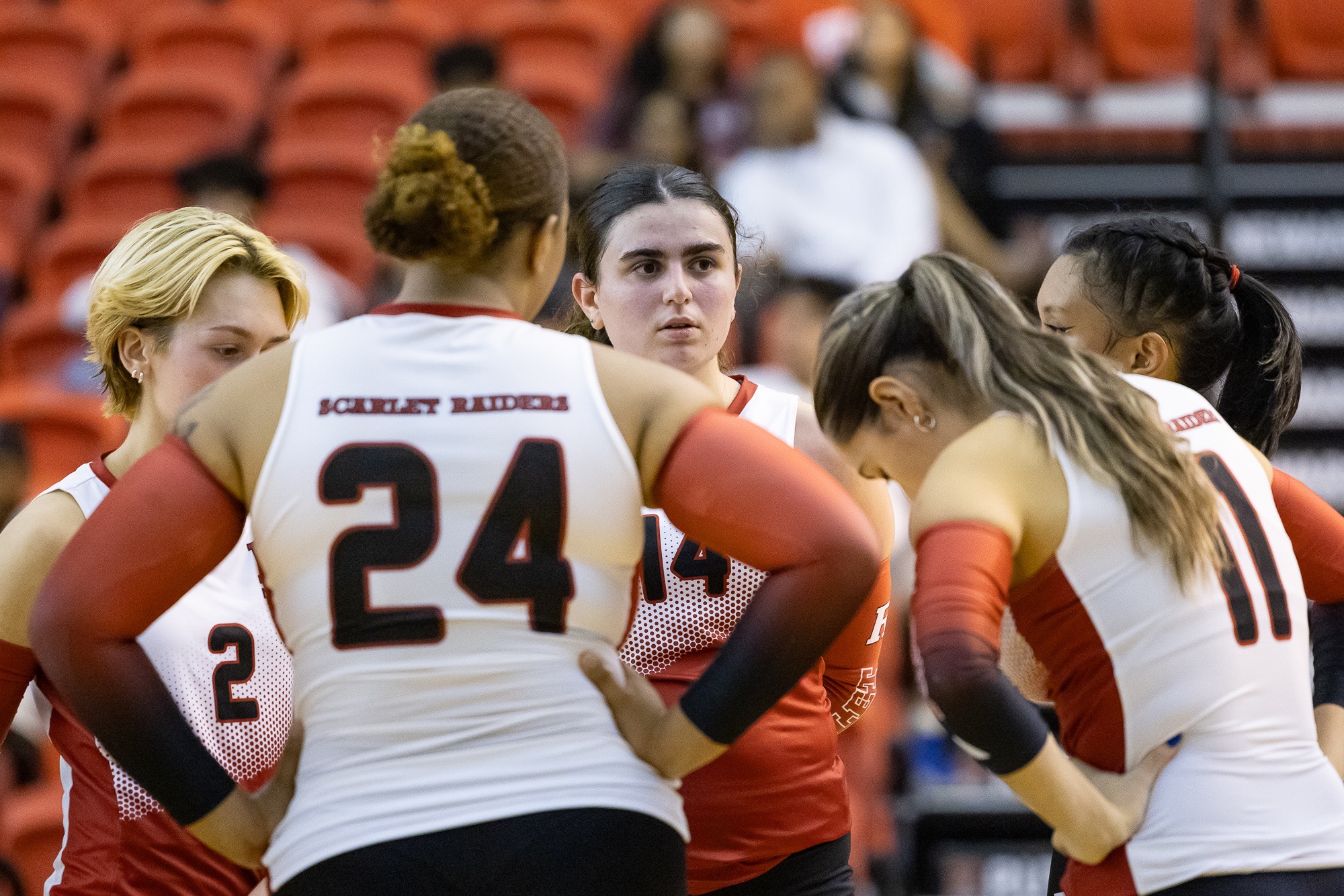 Team_WVB 