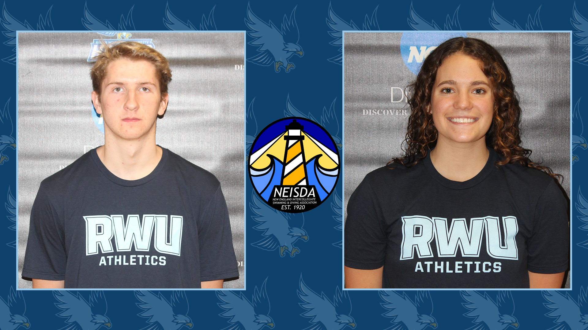 Williams & Schneider NEISDA POW