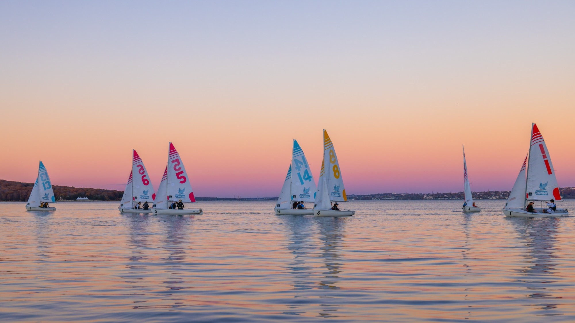 Sail